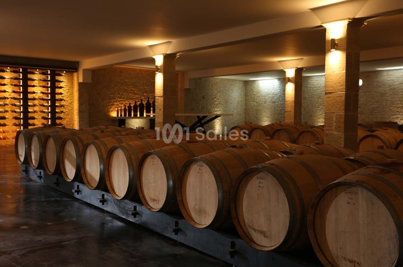 Château la Tilleraie - galerie - photo 19