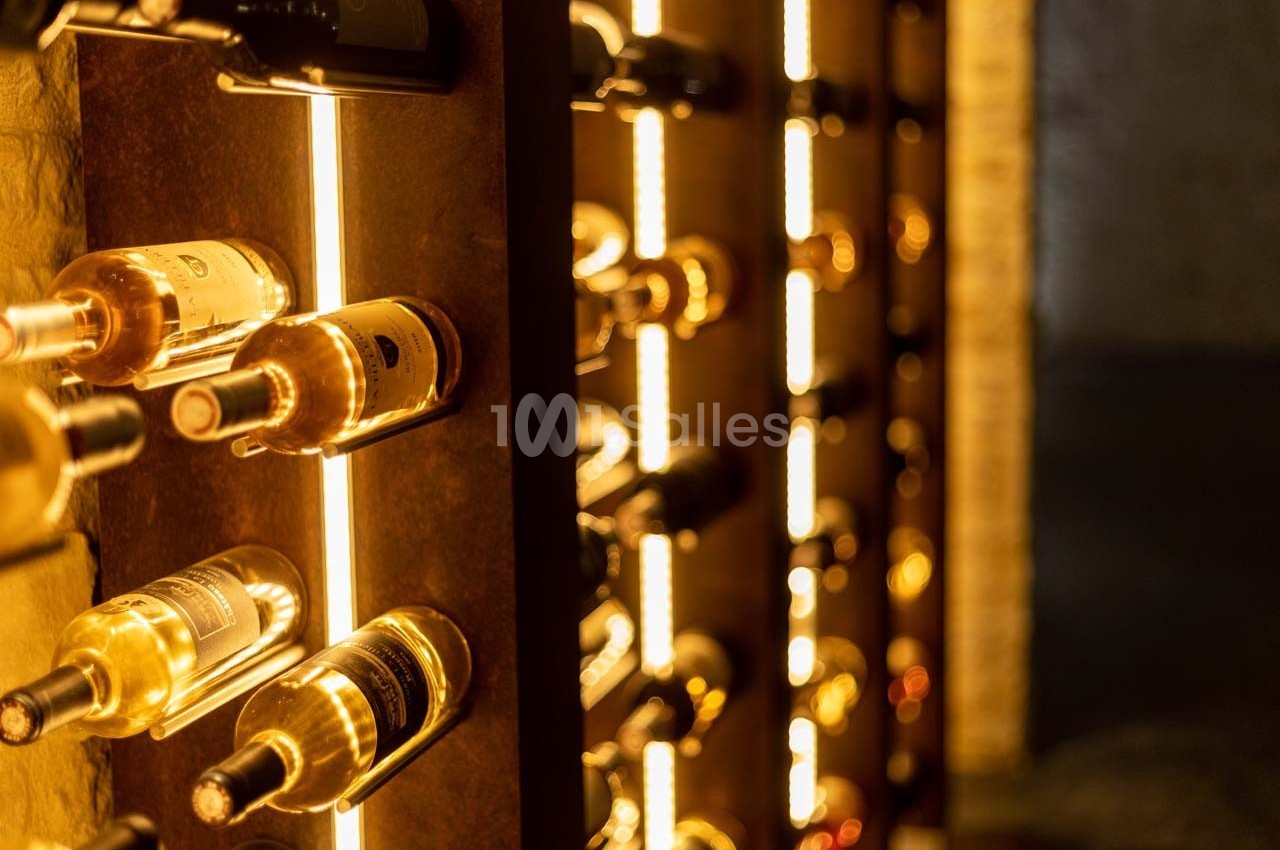 Château la Tilleraie - galerie - photo 59