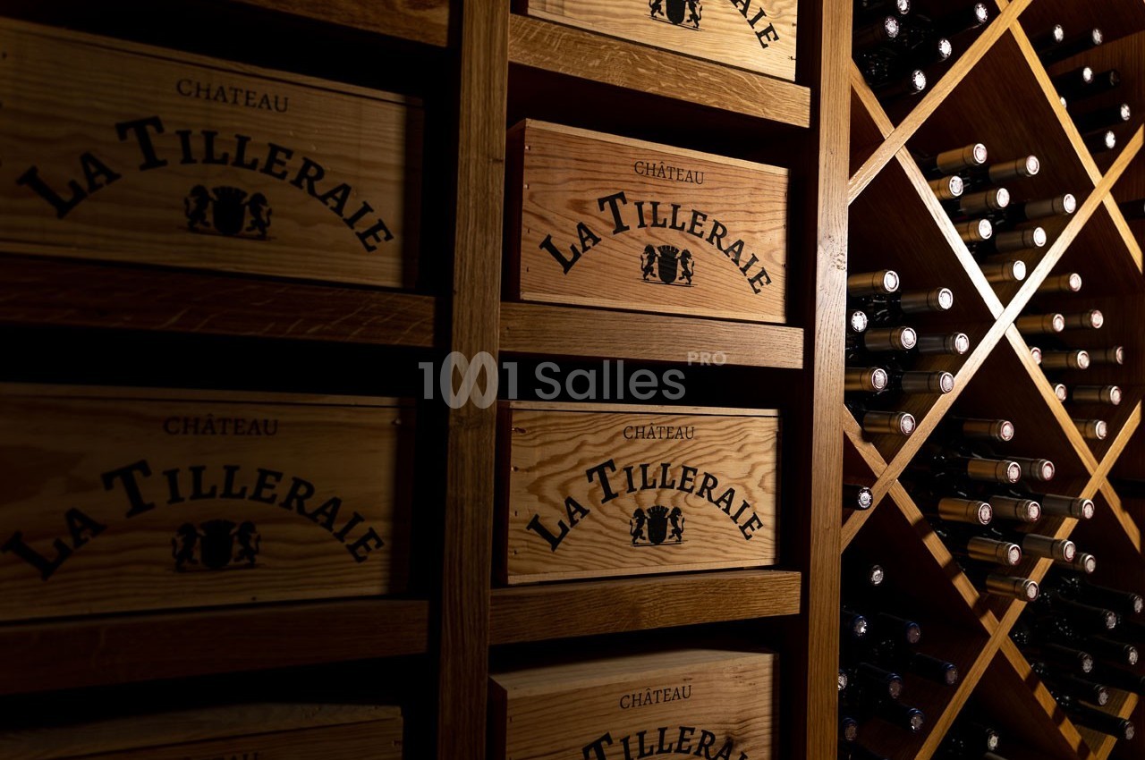 Château la Tilleraie - galerie - photo 13