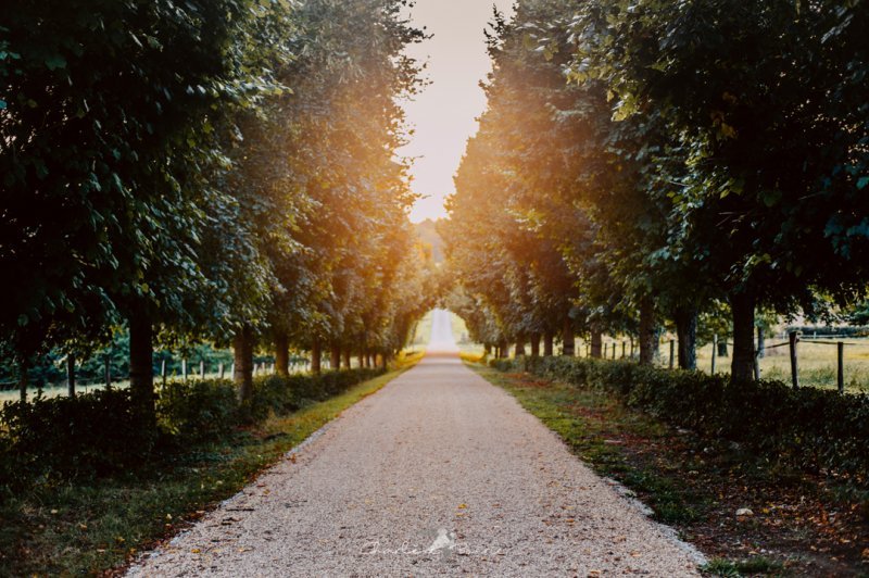 Domaine De La Revardière - photo 2