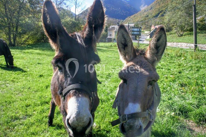 Domaine De Ramonjuan 65 - galerie - photo 16