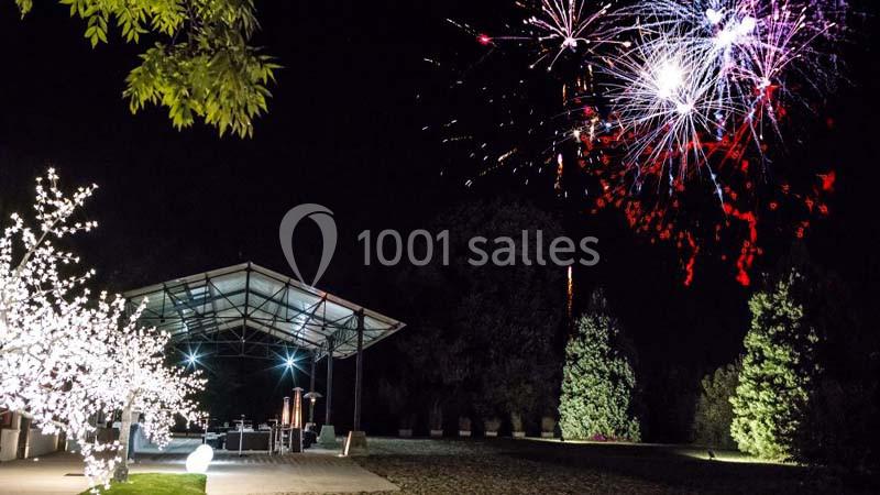 Feu d'artifice illuminant le ciel nocturne au-dessus d'un espace extérieur avec arbres et structure éclairée.