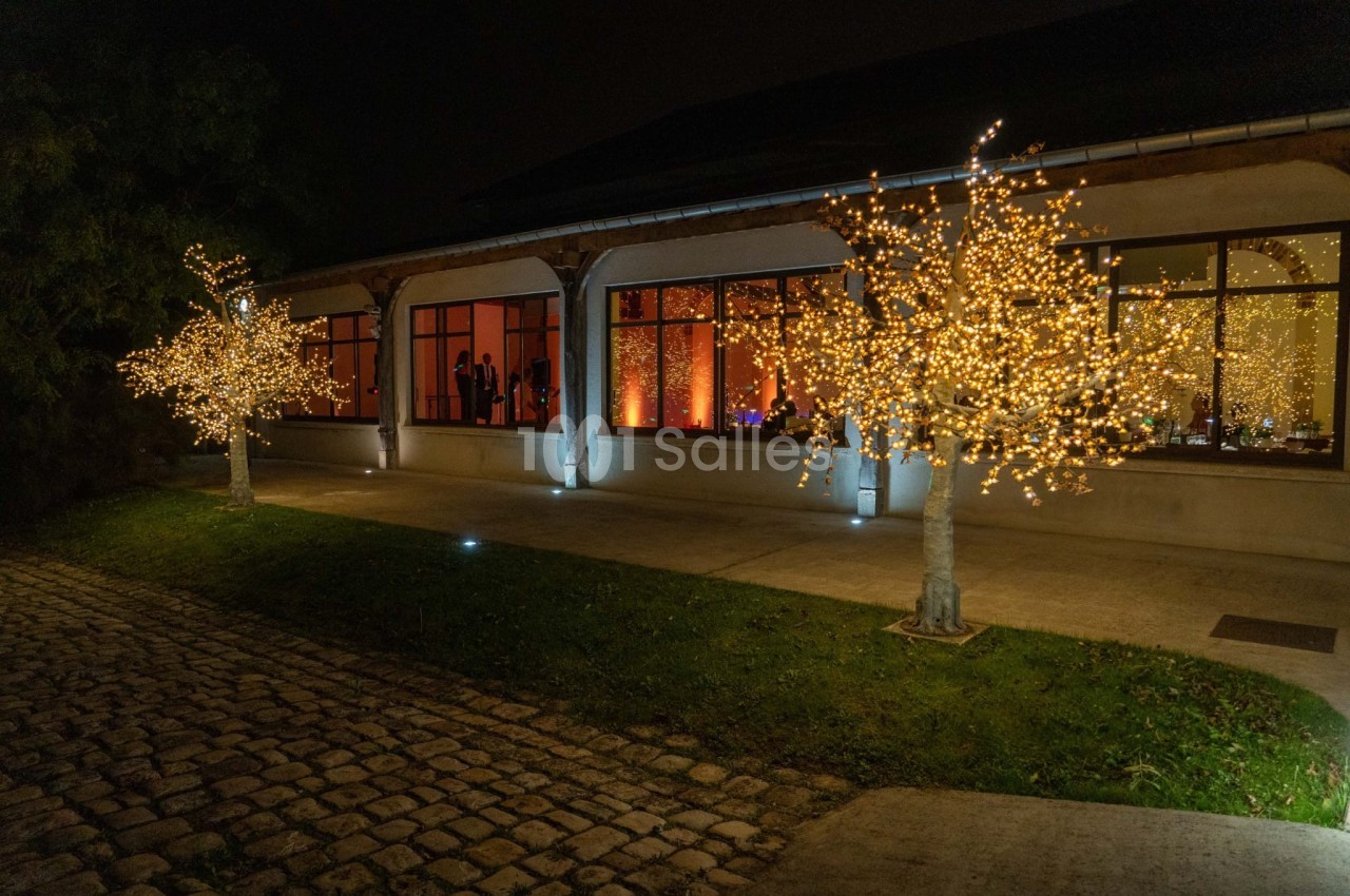 Façade d'un bâtiment éclairé la nuit, avec des arbres décorés de guirlandes lumineuses et des fenêtres illuminées.