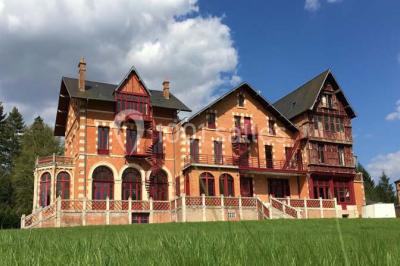 Château de la Luziere - photo 1