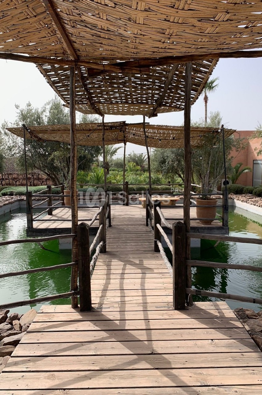 Passerelle en bois avec pergola en roseaux traversant un bassin entouré de végétation méditerranéenne.