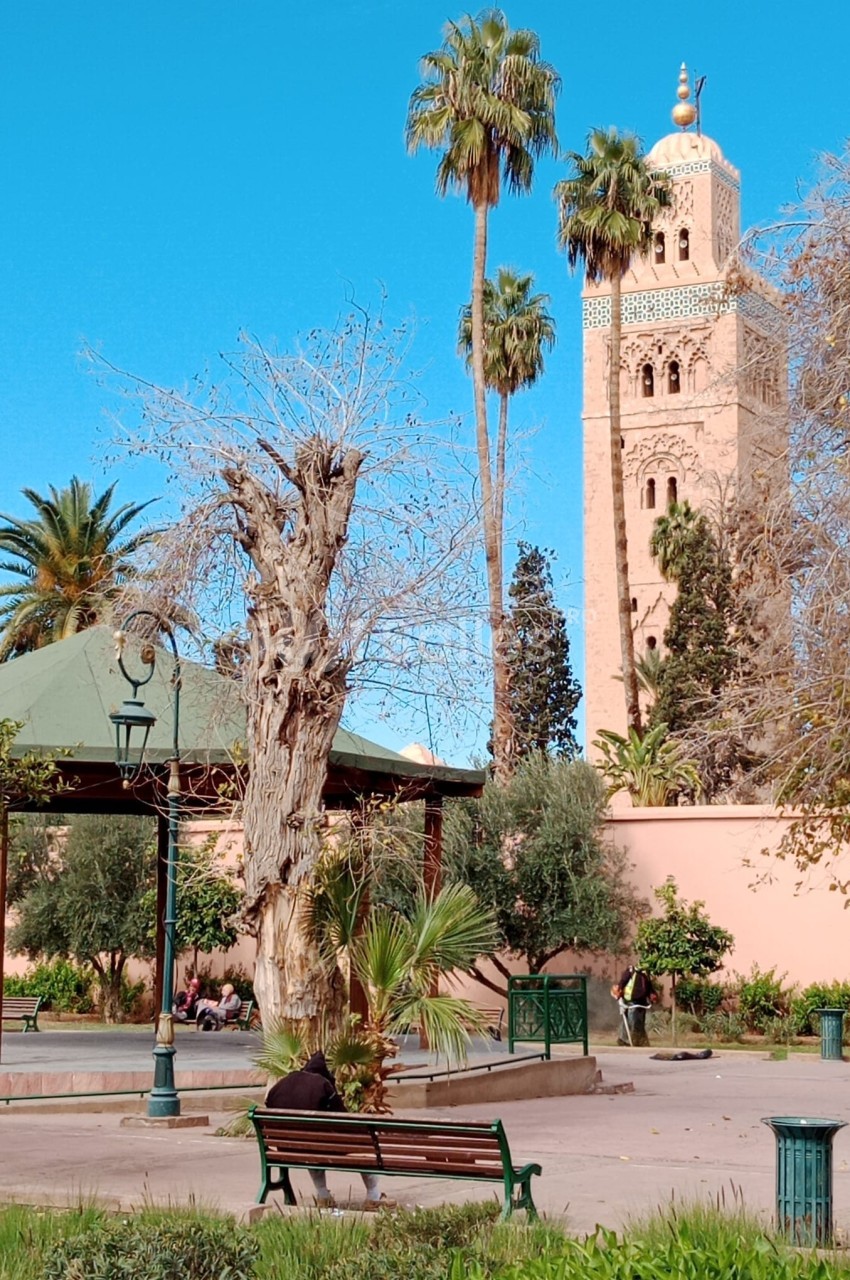 Vue d'un jardin avec des palmiers, un kiosque et la tour de la mosquée Koutoubia en arrière-plan sous un ciel bleu.
