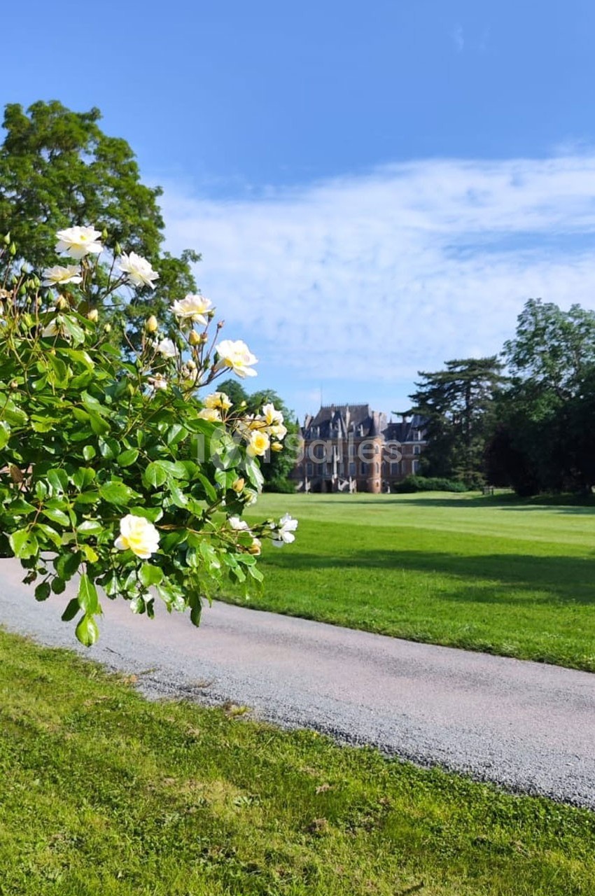 Allée bordée de pelouse avec des roses blanches au premier plan et un château entouré d'arbres en arrière-plan.