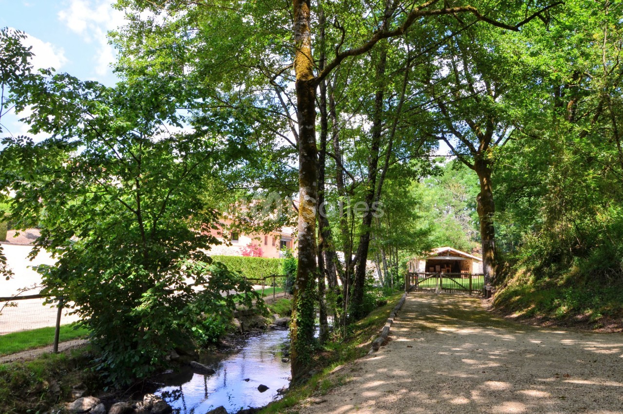 Sentier ombragé bordé d'arbres et d'un ruisseau, menant à une petite cabane en bois dans un cadre naturel.