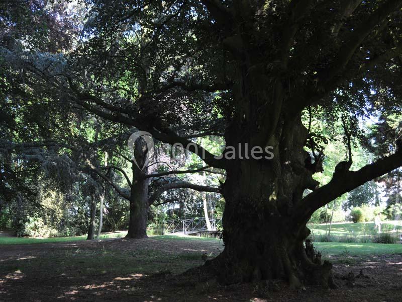 L'ermitage Du Bois Joli - galerie - photo 22