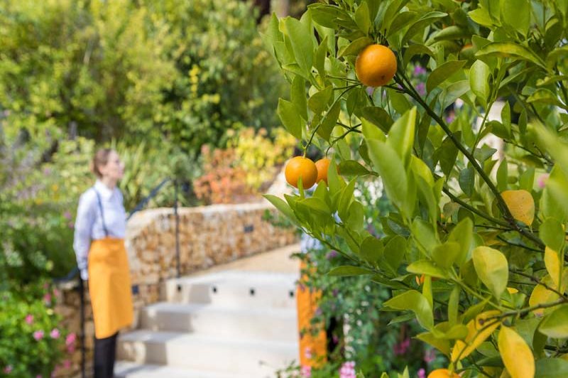 Le Manoir De Verzy - photo 4