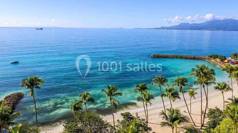 Plage bordée de palmiers avec eau turquoise, barrière rocheuse et montagnes à l'horizon sous un ciel dégagé.