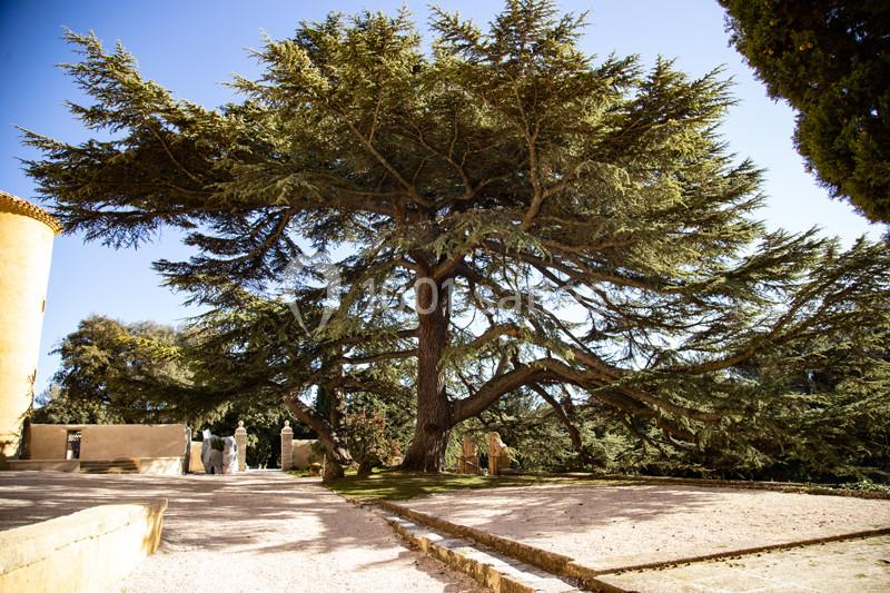 Château du Seuil - galerie - photo 11