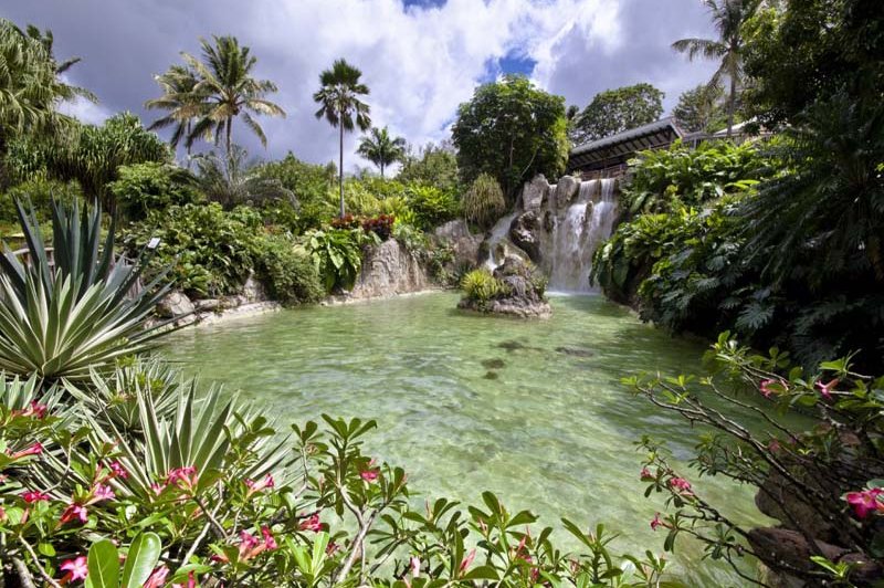 Jardin Botanique De Deshaies - photo 1