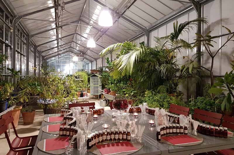 Les Jardins du Musée International de la Parfumerie Jmip - photo 4
