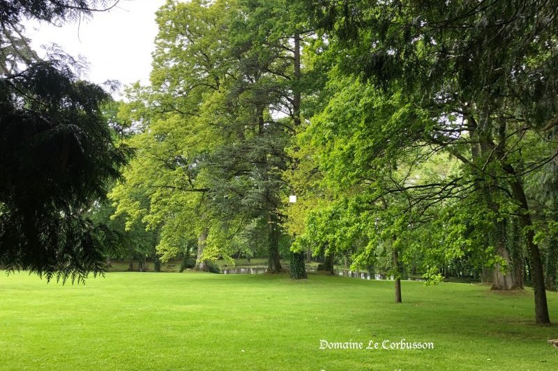 Domaine Le Corbusson - photo 3
