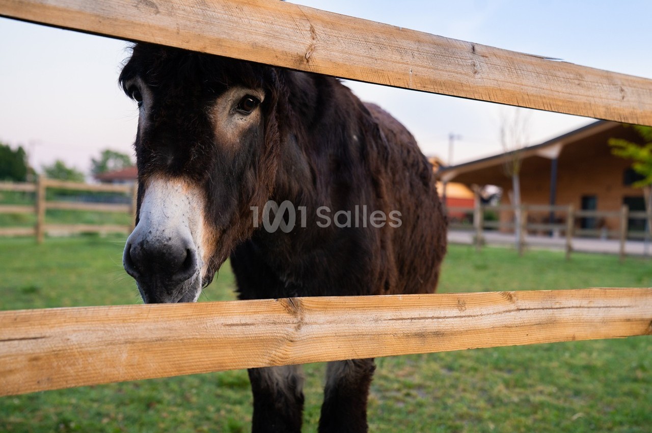 La Ferme Aux Trois Granges - galerie - photo 6