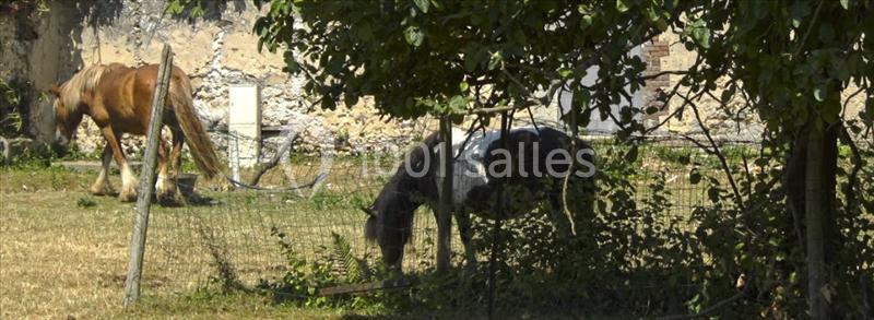 La Ferme Des Luthiers - galerie - photo 18