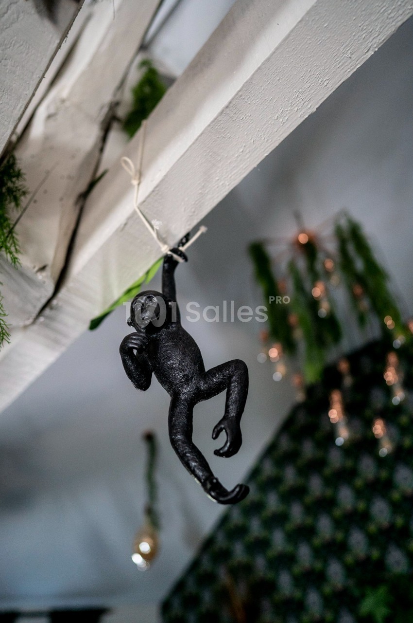 Singe décoratif noir suspendu à une poutre en bois dans une pièce ornée de plantes et de lumières.