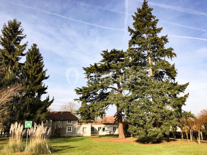 Le Rocheton - galerie - photo 15