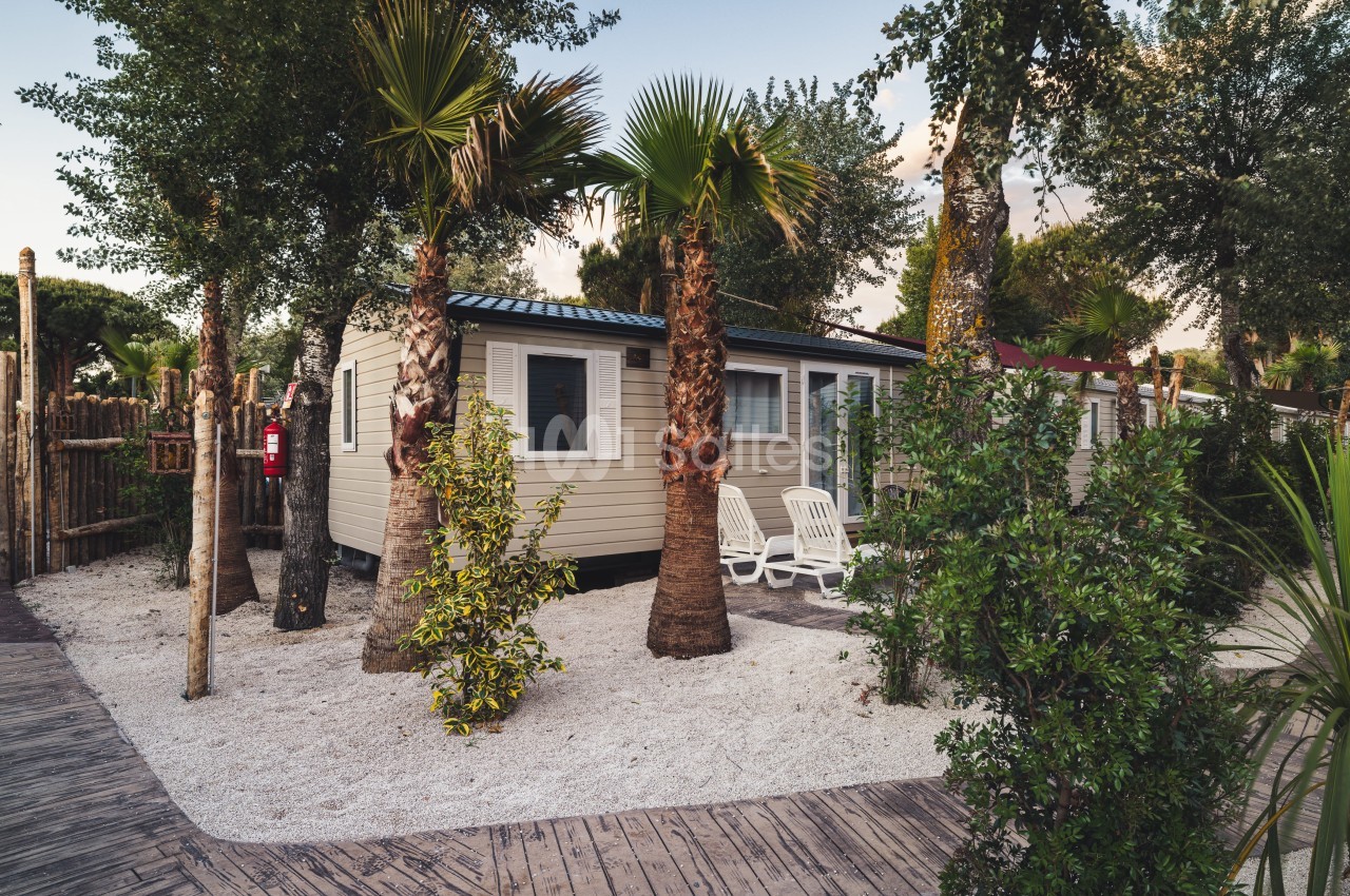 Mobil-home entouré de palmiers et de végétation, avec deux chaises blanches sur une terrasse en bois.