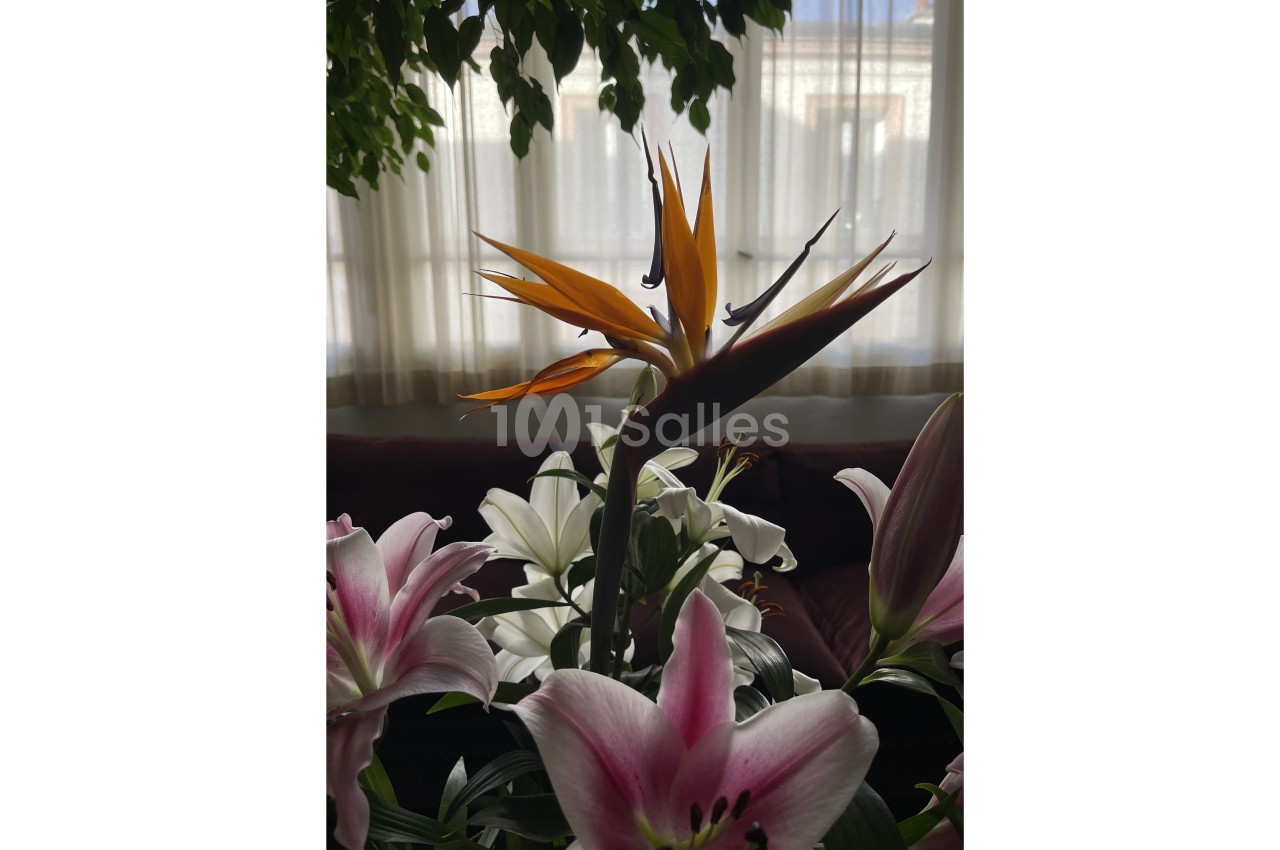 Fleurs colorées, dont un oiseau de paradis orange et des lys roses, devant une fenêtre lumineuse.