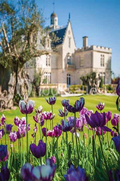 Château Pape Clément - galerie - photo 9