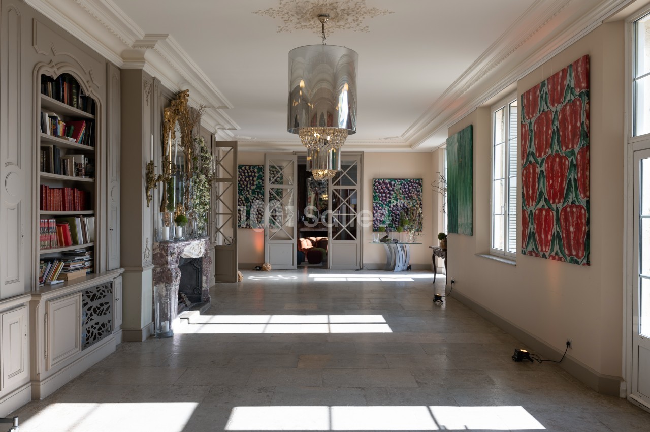 Intérieur lumineux avec bibliothèque, cheminée en marbre, lustre et grandes fenêtres laissant entrer la lumière naturelle.