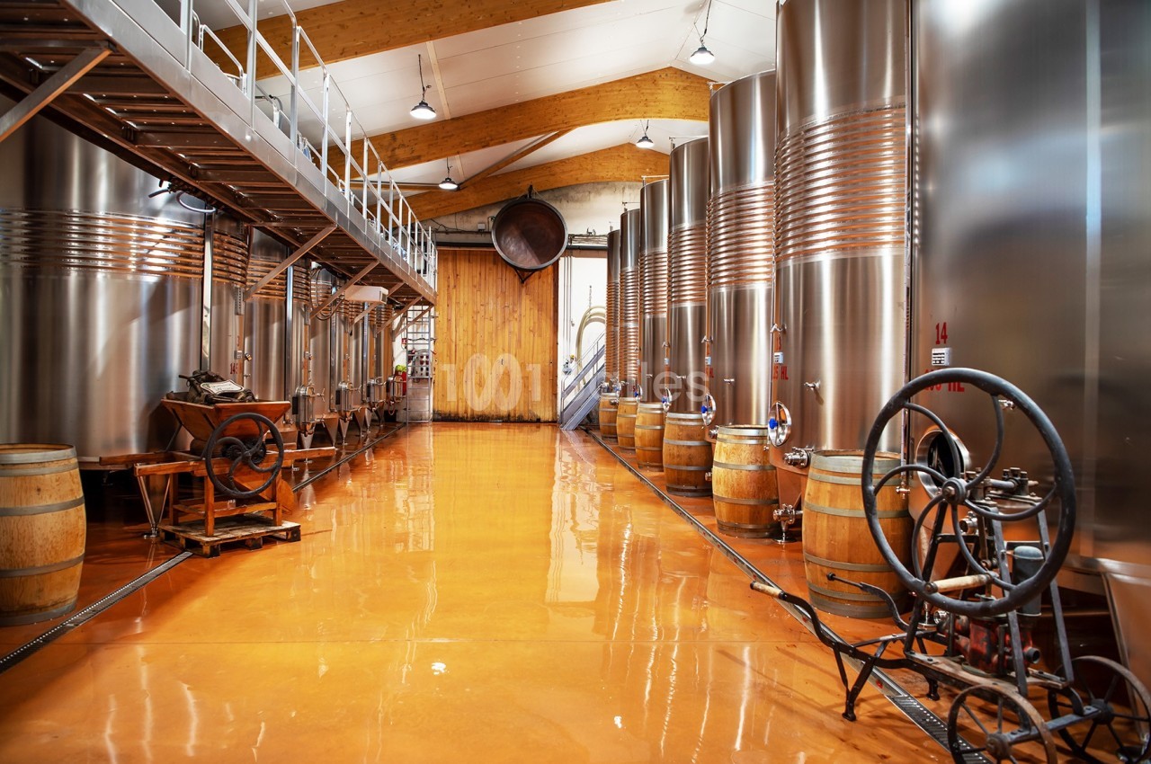 Salle de production vinicole avec cuves en acier inoxydable, tonneaux en bois et équipements traditionnels.