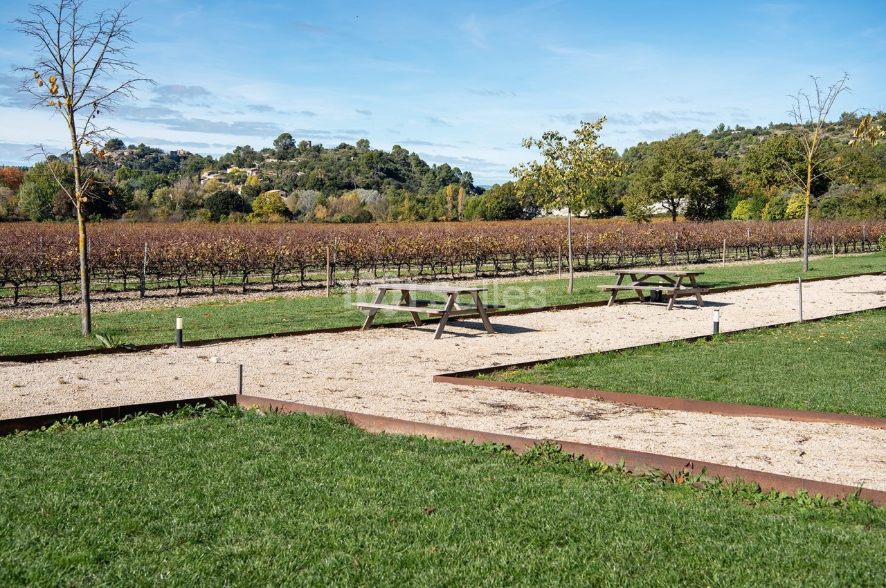 Allée bordée de pelouse avec tables de pique-nique en bois, vignes et collines en arrière-plan sous un ciel bleu.