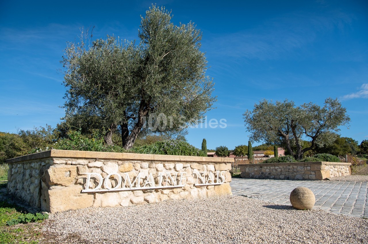 Mur en pierre avec l'inscription ’Domaine’, entouré d'oliviers et d'un chemin pavé sous un ciel bleu.