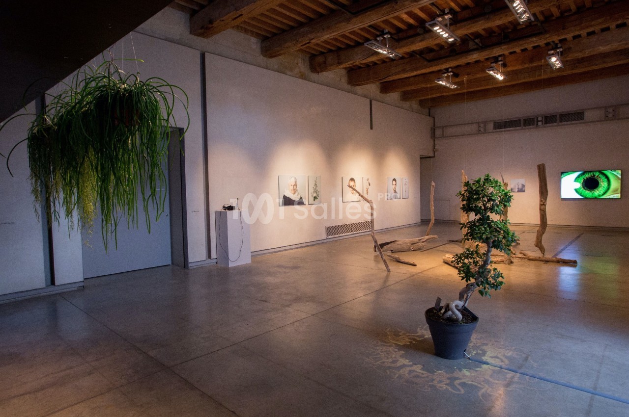 Salle d'exposition contemporaine avec œuvres d'art, plantes suspendues et éclairage tamisé.