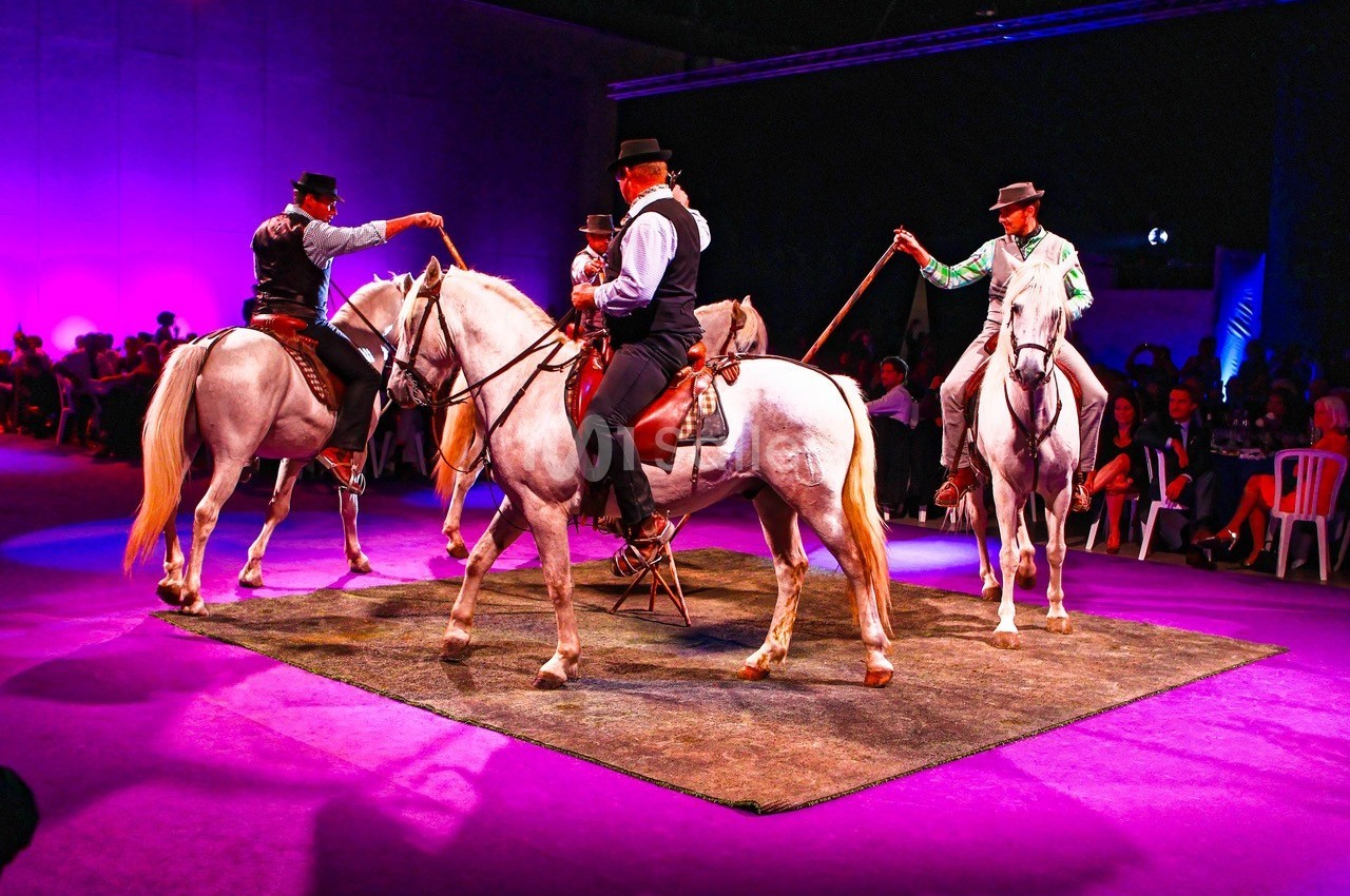 Quatre cavaliers en tenue traditionnelle exécutent une chorégraphie équestre sur une scène éclairée en violet.