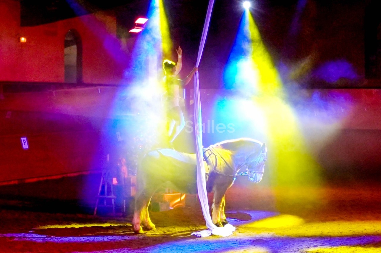 Artiste debout sur un cheval dans une ambiance lumineuse colorée, tenant un tissu aérien dans une arène sombre.