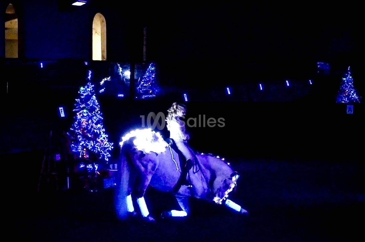 Un cheval et son cavalier illuminés par des lumières fluorescentes dans un décor sombre avec un sapin éclairé.