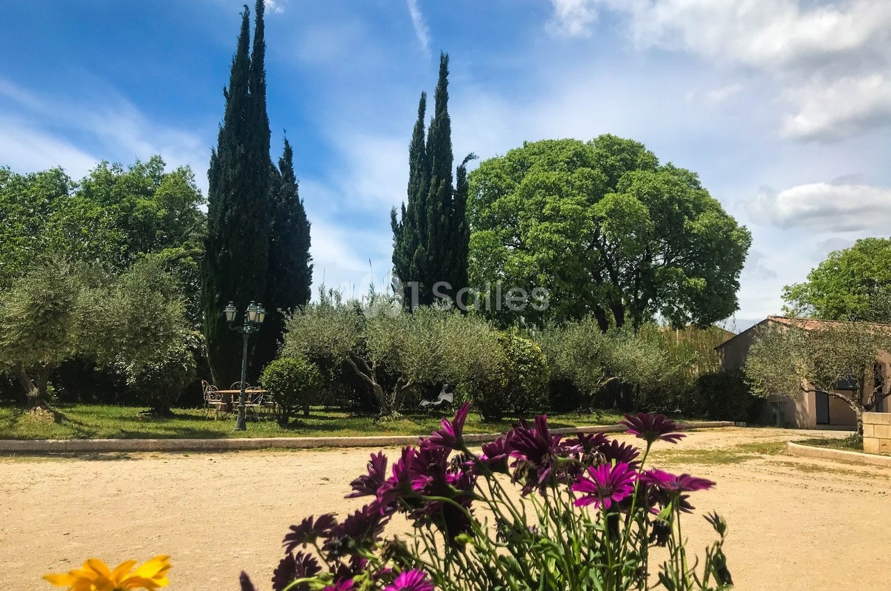 Allée ensoleillée bordée d'arbres et de buissons, avec des fleurs violettes au premier plan et un ciel bleu parsemé de…