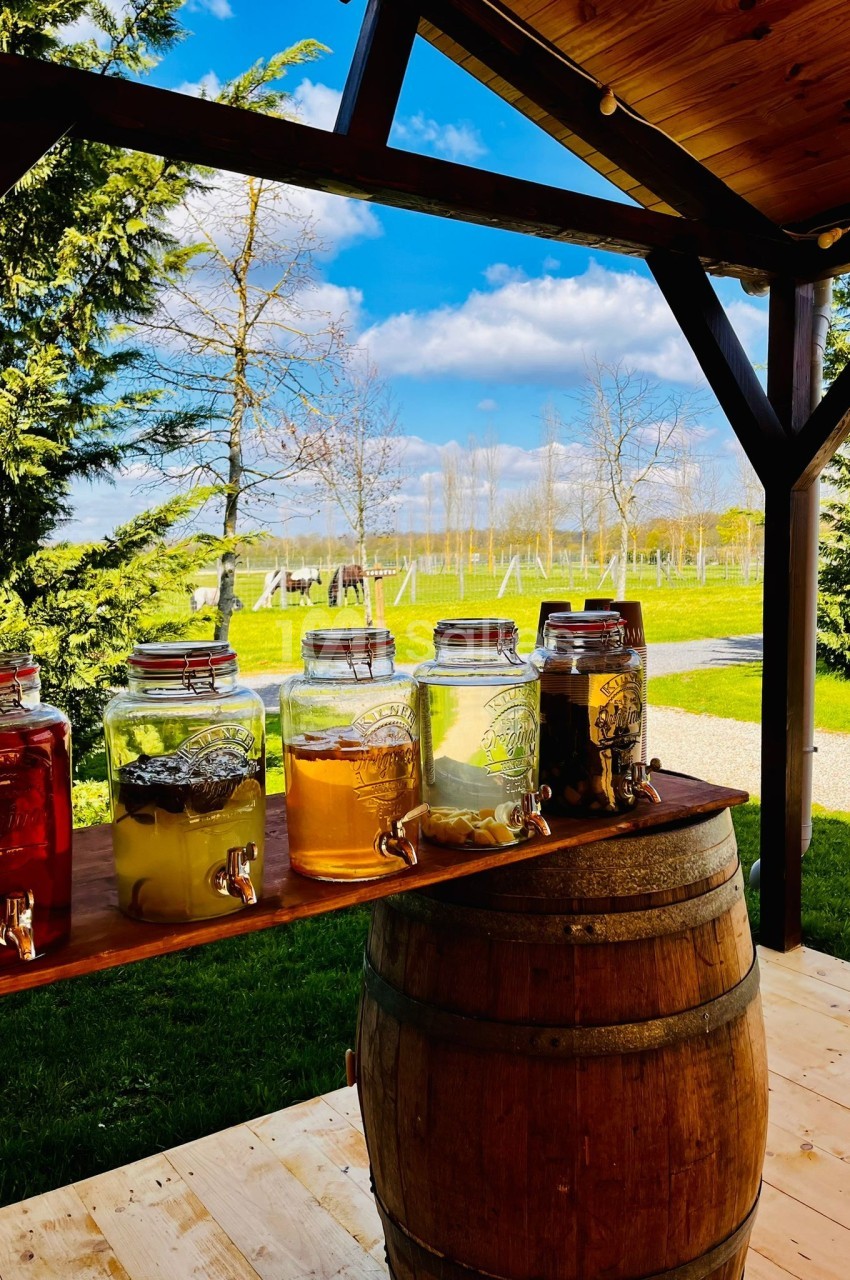 Bocaux de boissons infusées posés sur un tonneau en bois, avec vue sur un jardin verdoyant et un ciel bleu.
