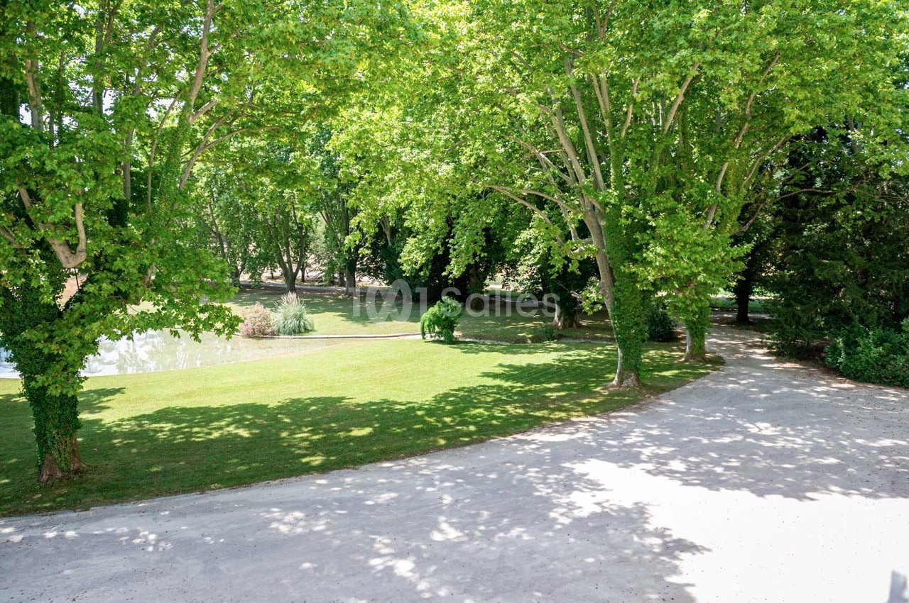Allée bordée d'arbres verdoyants avec une pelouse et un petit plan d'eau en arrière-plan.