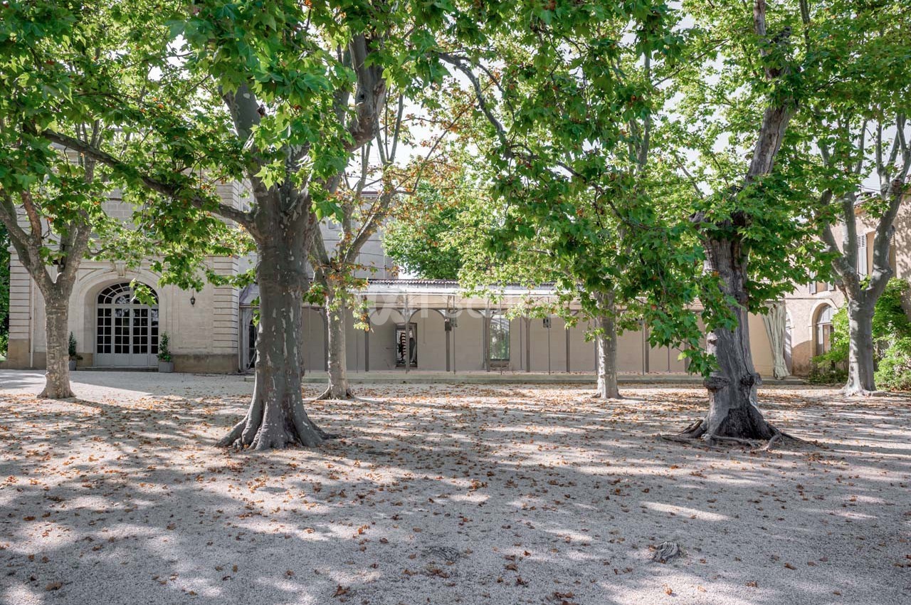 Cour ombragée avec des arbres feuillus devant un bâtiment en pierre aux grandes fenêtres et arches.