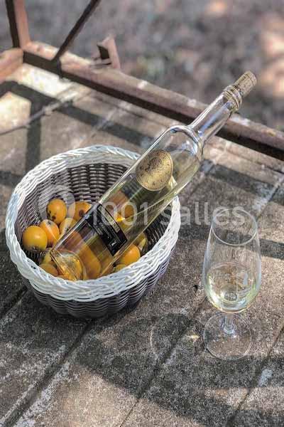 Domaine de l'Herbe Sainte - galerie - photo 40