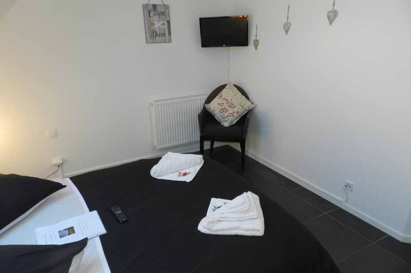 Oscar's Home - photo 4