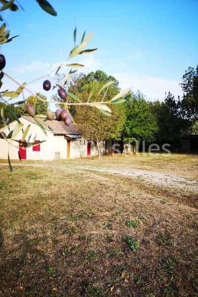 Puech Long Lodge - galerie - photo 4