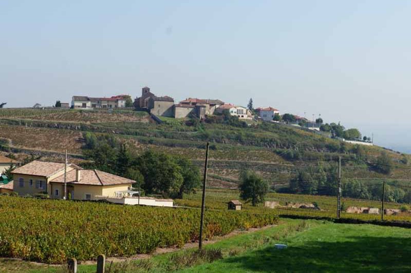 Château du Bluizard - photo 1