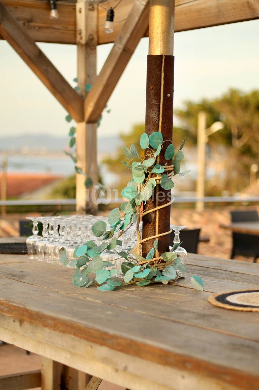 Plante grimpante décorative enroulée autour d'un poteau en bois sur une table extérieure, avec vue sur un paysage côtier.