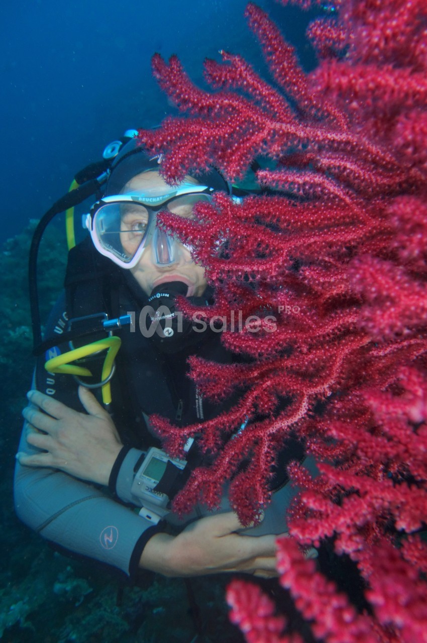 Plongeur sous-marin observant de près un corail rouge vif dans un environnement aquatique.