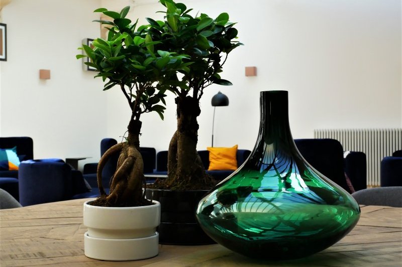 Les Salons du Cloitre - photo 2