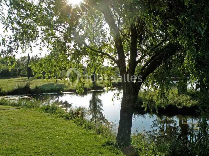 Mas du Marais du Capeau - galerie - photo 10
