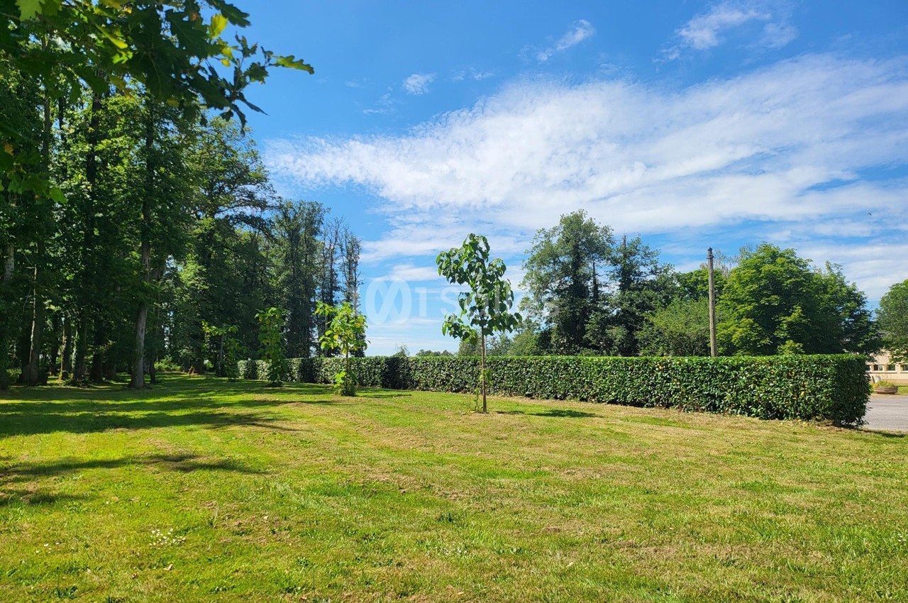 Pelouse verdoyante avec jeunes arbres, haie taillée et ciel bleu parsemé de nuages légers en arrière-plan.