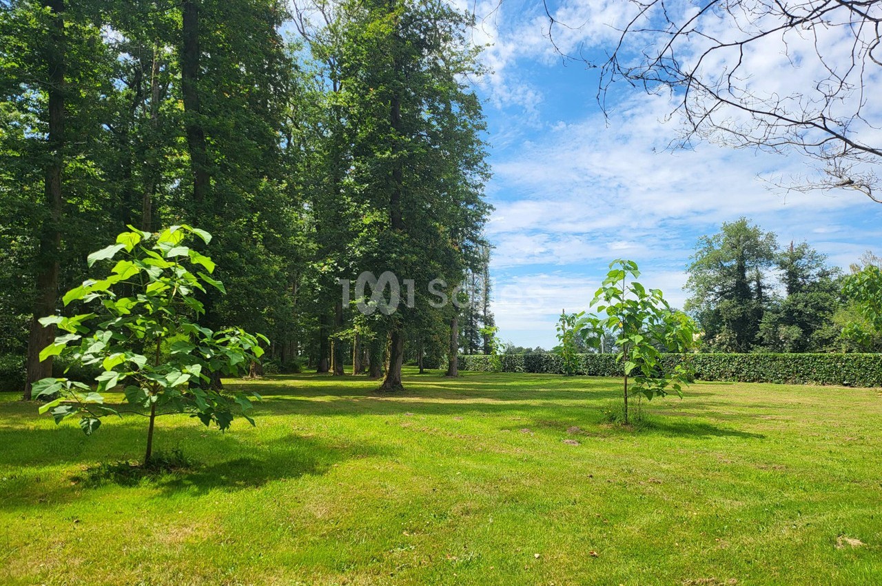 Pelouse verdoyante entourée d'arbres sous un ciel partiellement nuageux.