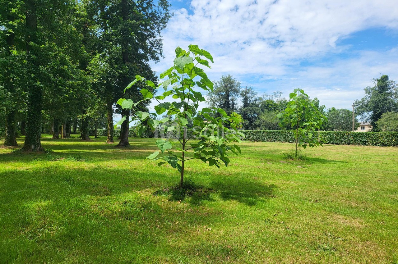 Jeunes arbres plantés dans un parc verdoyant sous un ciel partiellement nuageux.