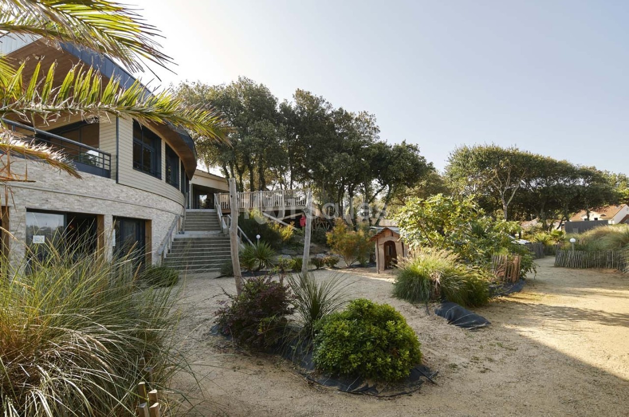 Jardin paysager avec végétation méditerranéenne, escaliers menant à une maison moderne entourée d'arbres.